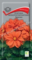 Георгина "Барокко" оранжевая