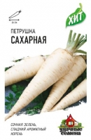 Петрушка корневая сахарная