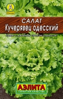 Салат "Кучерявец одесский"